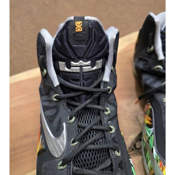 Nike LeBron II Everglades 2014 Mens Size 13 (616175-006) Shoes main image 9